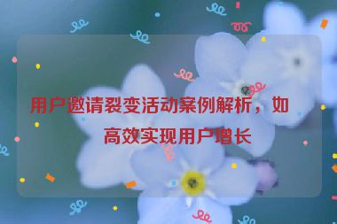 用戶邀請裂變活動案例解析，如何高效實現(xiàn)用戶增長
