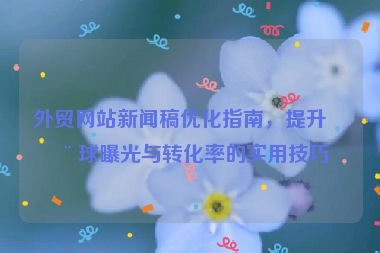 外貿(mào)網(wǎng)站新聞稿優(yōu)化指南，提升全球曝光與轉(zhuǎn)化率的實用技巧