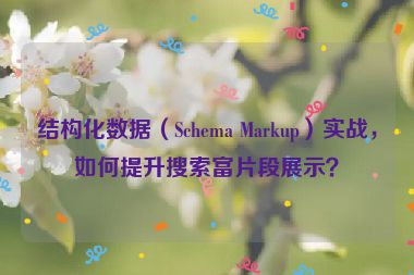 結(jié)構(gòu)化數(shù)據(jù)（Schema Markup）實(shí)戰(zhàn)，如何提升搜索富片段展示？