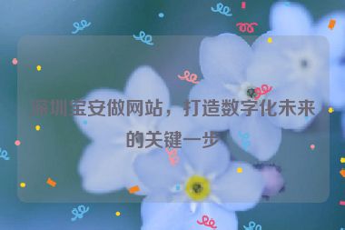 深圳寶安做網(wǎng)站，打造數(shù)字化未來的關(guān)鍵一步