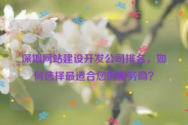 深圳網(wǎng)站建設(shè)開(kāi)發(fā)公司排名，如何選擇最適合您的服務(wù)商？