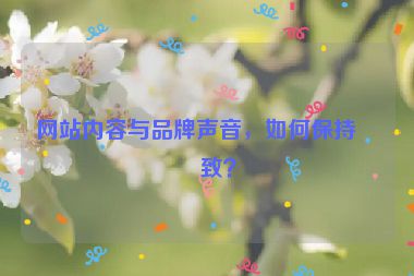 網(wǎng)站內(nèi)容與品牌聲音，如何保持一致？