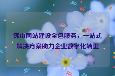 佛山網(wǎng)站建設(shè)全包服務(wù)，一站式解決方案助力企業(yè)數(shù)字化轉(zhuǎn)型