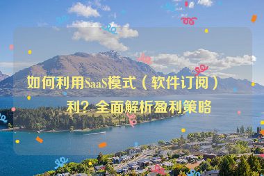 如何利用SaaS模式（軟件訂閱）盈利？全面解析盈利策略
