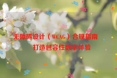 無障礙設(shè)計（WCAG）合規(guī)指南，打造包容性數(shù)字體驗