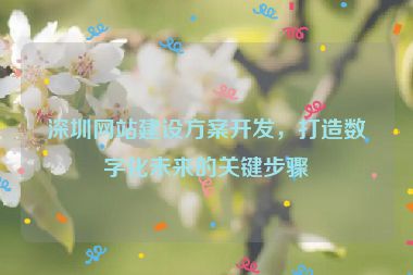 深圳網(wǎng)站建設(shè)方案開(kāi)發(fā)，打造數(shù)字化未來(lái)的關(guān)鍵步驟