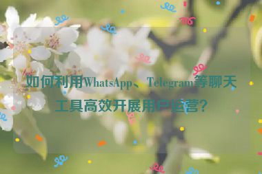 如何利用WhatsApp、Telegram等聊天工具高效開(kāi)展用戶運(yùn)營(yíng)？