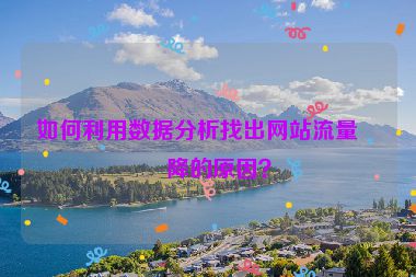如何利用數(shù)據(jù)分析找出網(wǎng)站流量下降的原因？