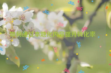如何通過本地化內(nèi)容提升轉化率？