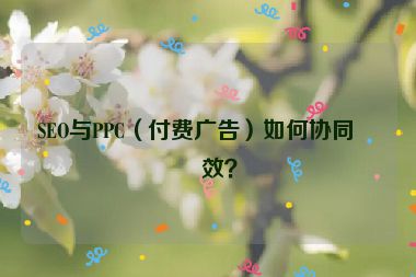 SEO與PPC（付費(fèi)廣告）如何協(xié)同增效？