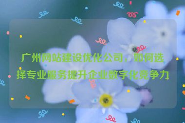 廣州網(wǎng)站建設(shè)優(yōu)化公司，如何選擇專業(yè)服務(wù)提升企業(yè)數(shù)字化競爭力