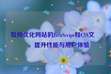 如何優(yōu)化網(wǎng)站的JavaScript和CSS文件，提升性能與用戶體驗(yàn)