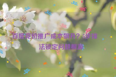 百度競價(jià)推廣成本飆升？5步排查法鎖定問題根源