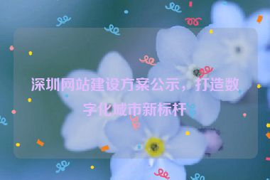深圳網(wǎng)站建設(shè)方案公示，打造數(shù)字化城市新標(biāo)桿