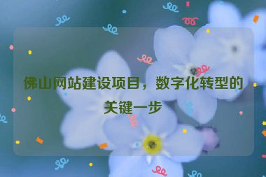 佛山網(wǎng)站建設(shè)項(xiàng)目，數(shù)字化轉(zhuǎn)型的關(guān)鍵一步