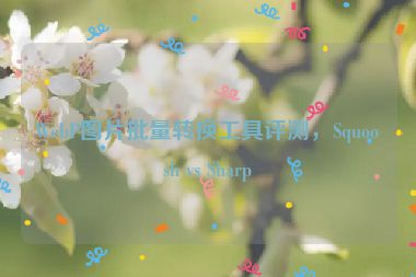 WebP圖片批量轉(zhuǎn)換工具評測，Squoosh vs Sharp