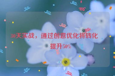 30天實戰(zhàn)，通過創(chuàng)意優(yōu)化將轉(zhuǎn)化率提升50%