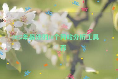 2025年最佳的10個網(wǎng)站分析工具推薦