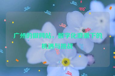 廣州的做網(wǎng)站，數(shù)字化浪潮下的機(jī)遇與挑戰(zhàn)