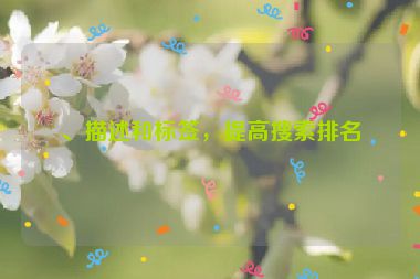 、描述和標簽，提高搜索排名
