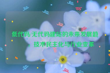 低代碼/無(wú)代碼建站的未來(lái)發(fā)展趨勢(shì)，技術(shù)民主化與行業(yè)變革