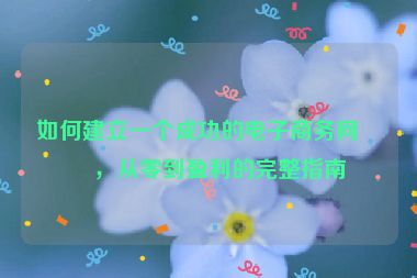 如何建立一個成功的電子商務(wù)網(wǎng)站，從零到盈利的完整指南