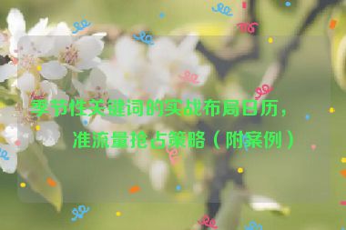 季節(jié)性關(guān)鍵詞的實戰(zhàn)布局日歷，精準(zhǔn)流量搶占策略（附案例）