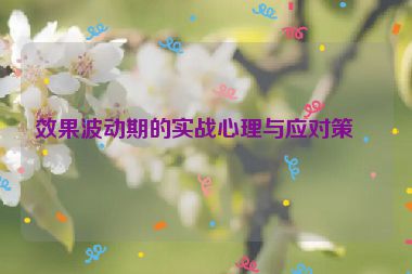 效果波動(dòng)期的實(shí)戰(zhàn)心理與應(yīng)對(duì)策略