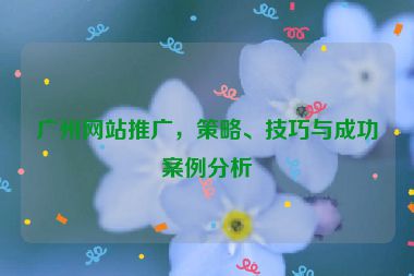 廣州網(wǎng)站推廣，策略、技巧與成功案例分析