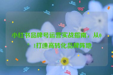 小紅書品牌號運營實戰(zhàn)指南，從0到1打造高轉(zhuǎn)化品牌陣地