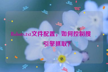 Robots.txt文件配置，如何控制搜索引擎抓??？
