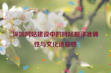深圳網(wǎng)站建設(shè)中的網(wǎng)站翻譯準確性與文化適應(yīng)性