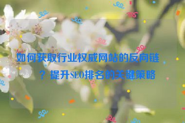如何獲取行業(yè)權(quán)威網(wǎng)站的反向鏈接？提升SEO排名的關(guān)鍵策略