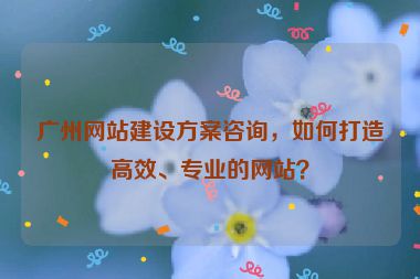 廣州網(wǎng)站建設(shè)方案咨詢，如何打造高效、專業(yè)的網(wǎng)站？